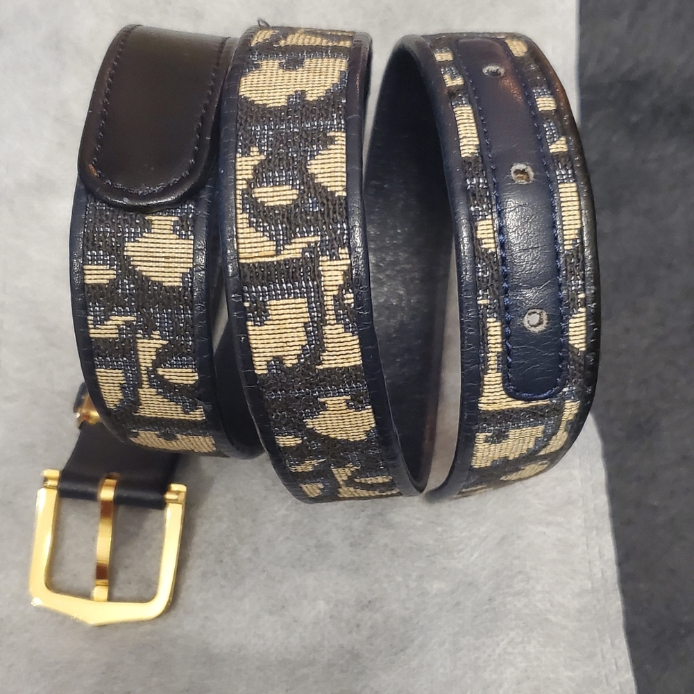 Dior trotter belt